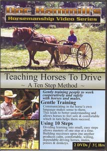 teaching horses to drive