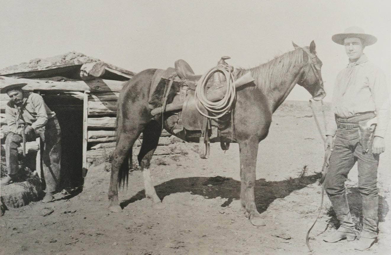 horse saddle parts